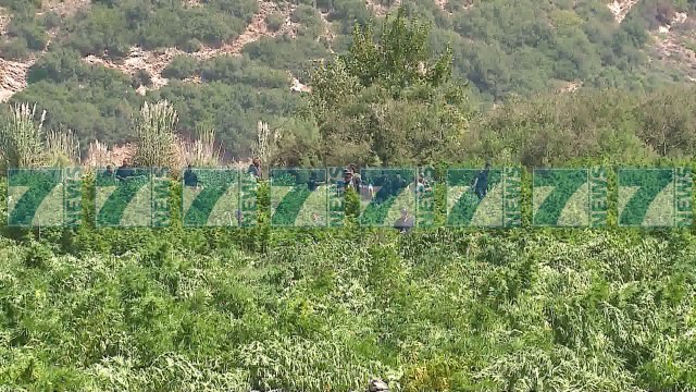 22 TE PRANGOSUR NE OPERACIONIN NDERKOMBETAR TE DROGES - News, Lajme - Kanali 8