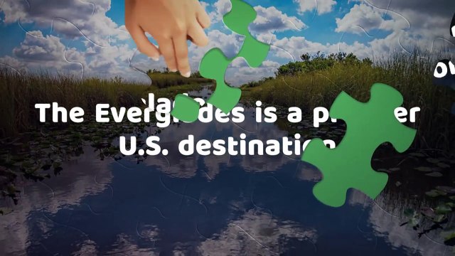 Explore the Mysterious Everglades with Jungle Erv’s Airboat Rides