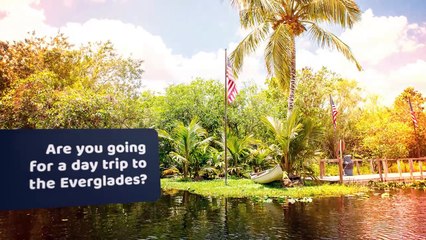 What To Do With a Few Hours in the Everglades?