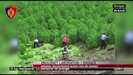 Skrapar, zbulohet laboratori i drogës - News, Lajme - Vizion Plus