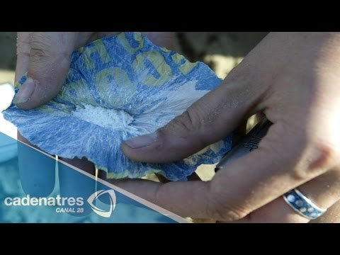 Consumo de drogas en adolescentes afecta la memoria y el aprendizaje