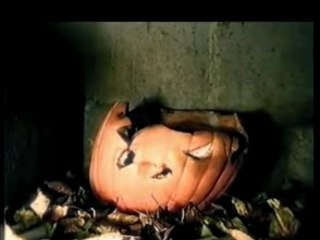 Rotting-pumpkin