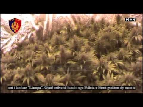 Zbulohet një laborator droge në Fier, 8 të arrestuar - Top Channel Albania - News - Lajme