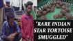 Tortoise smuggling : 2 held for smuggling 200 rare star tortoise | Oneindia News