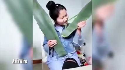 Cette chinoise mange une plante toxique en direct à la TV