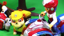 Accidente parodia patrulla pata Skate juguetes vídeo Nickelodeondoc mcstuffins
