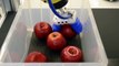 Apple Picking Robot Uses Soft Robotics Gripper & FANUC 3D Vision to Safely Package Apples