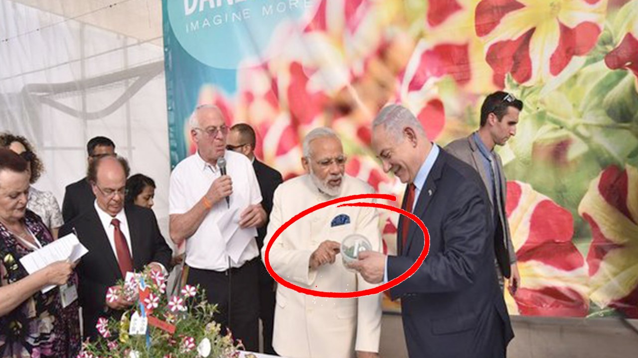 Narendra Modi : Israeli Flower Named After Modi