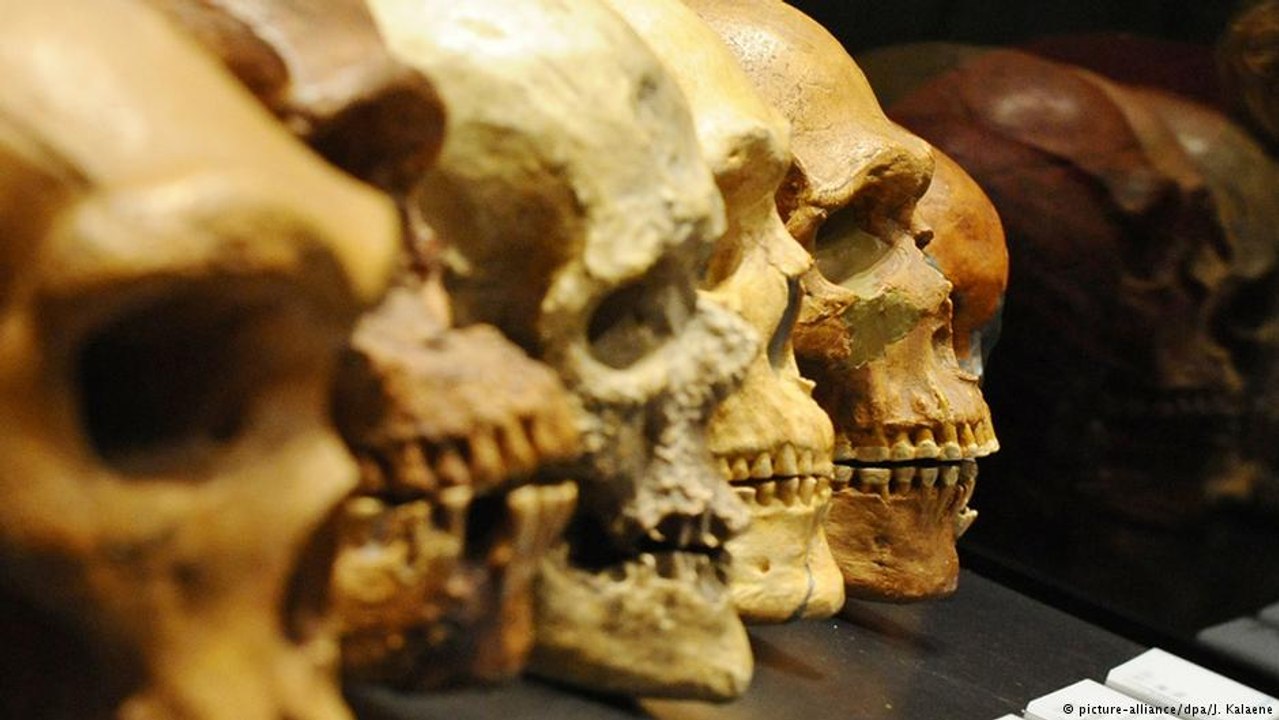 Desde quando o ser humano existe?