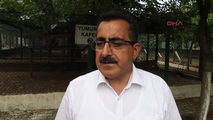 Samsun 14 Yılda 190 Bin Sülün Üretilip Doğaya Bırakıldı