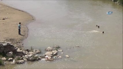 Ağrı'da Çocuklar Murat Nehrinde Serinliyor