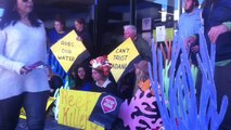 Activists Target Commonwealth Bank Branches in Protest Against Adani Coal Mine