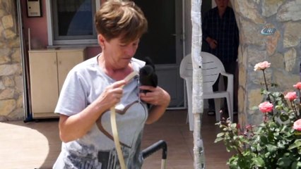 Bu Karga Kendini Muhabbet Kuşu Sanıyor