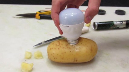 Patates Gerçek Enerji Kaynağı