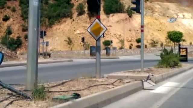Tunceli'de Yaban Domuzlarını Günün Her Vakti Görmek Mümkün