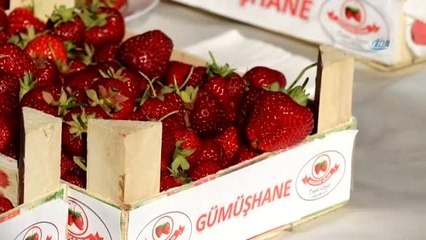 Gümüşhane'de Çilek Bereketi