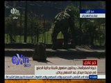#غرفة_الأخبار | شاهد.. لحظة تفكيك خبراء المفرقعات لقنبلة بدائية الصنع في محيط عبدالمنعم رياض