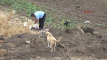 Tekirdağ 23 Yıllık Polis Memurunun Hayvan Sevgisi