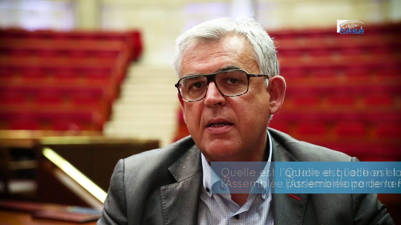 M. Pascal TERRASSE (APF) - francophonie - cese