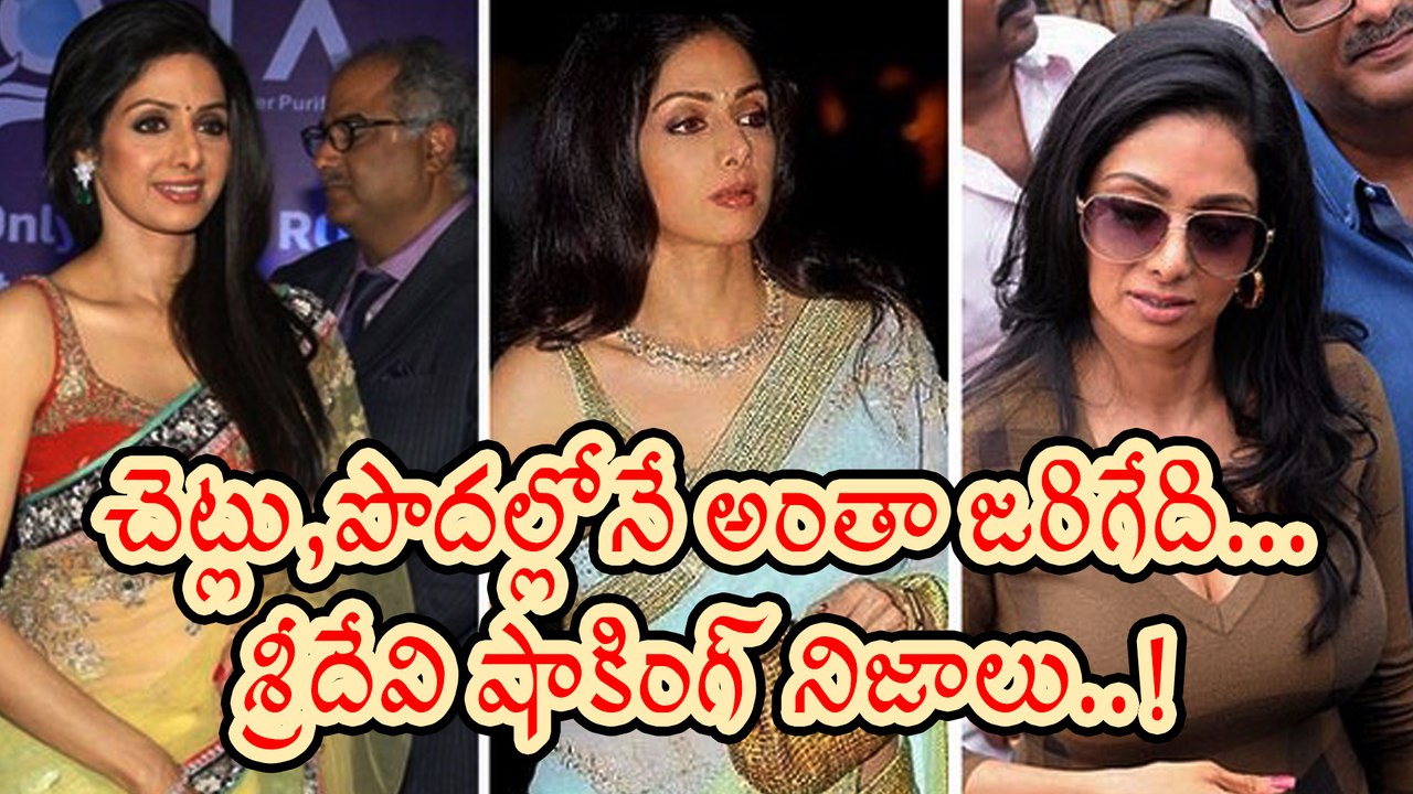Sridevi Memorized her Career Starting days in film industry