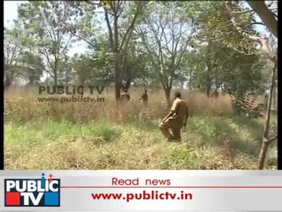 Leopard Search Intensified