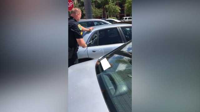 Police Smash Car Window To Rescue Pit Bull Left In Boiling Hot Car