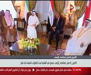 أول فيديو لاجتماع "الرباعى العربى" لمواجهة تمويل قطر للإرهاب بقصر التحرير