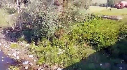 Ramazan Bayramı Tatili Anıları 2017