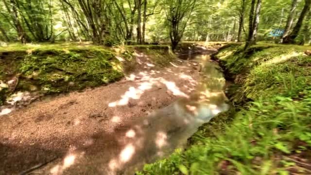 İğneada Longoz Ormanları Havadan Görüntülendi