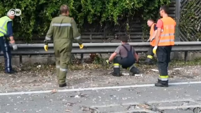 O que acontece quando um caminhão com 7 mil galinhas passa por um acidente?