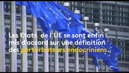 L'Europe s'accorde sur les perturbateurs endocriniens