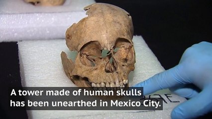 Vidéo de la découverte au Mexique d'une tour composée de crânes humains