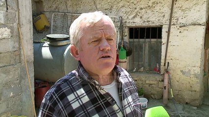 Dënohet për 1 rrënjë kanabis - Top Channel Albania - News - Lajme