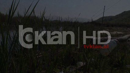 Masakër mjedisore në bregdetin e Ishmit