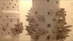 Two-Week Time-lapse of Oyster Mushroom Growth
