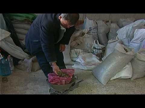 Jetë me sytë nga mali - Top Channel Albania - News - Lajme