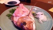 incroyable, au dîner, ce poisson à moitié mangé se réveille et créé la stupeur