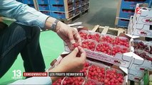 Raisins sans pépins et fraises blanches, le marché du fruit se modernise