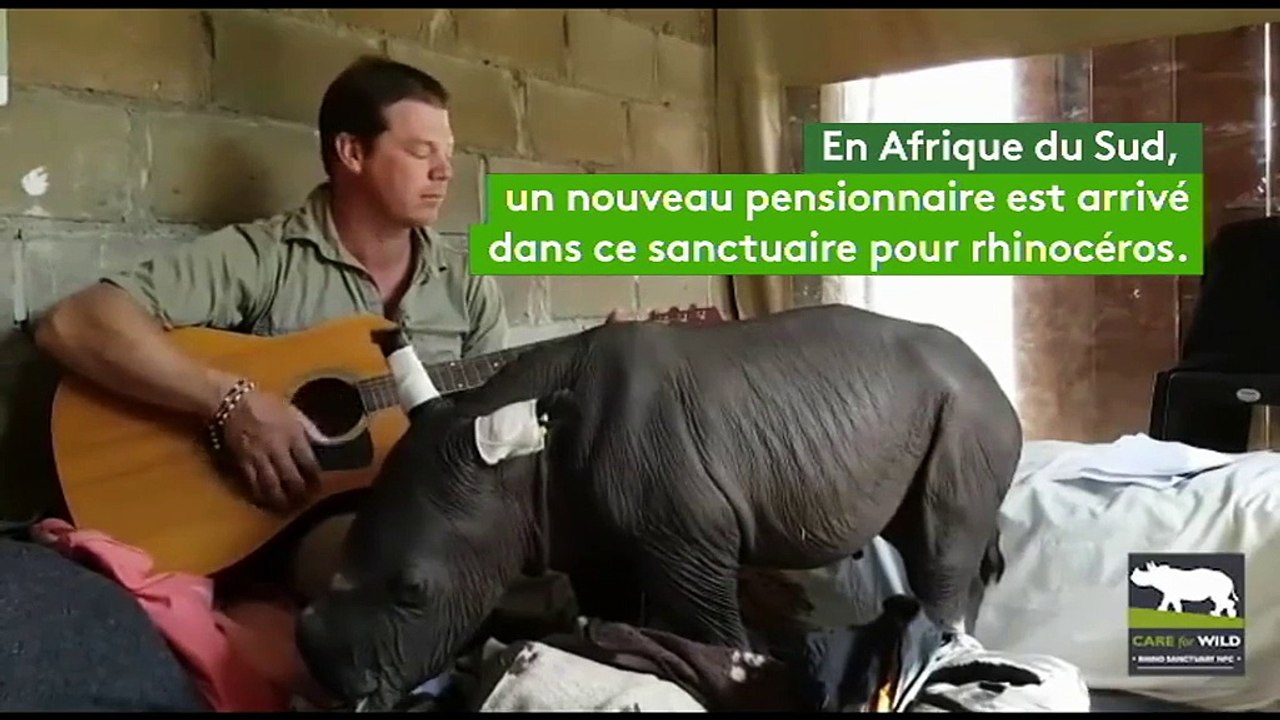 Il joue une berceuse à la guitare pour un bébé...