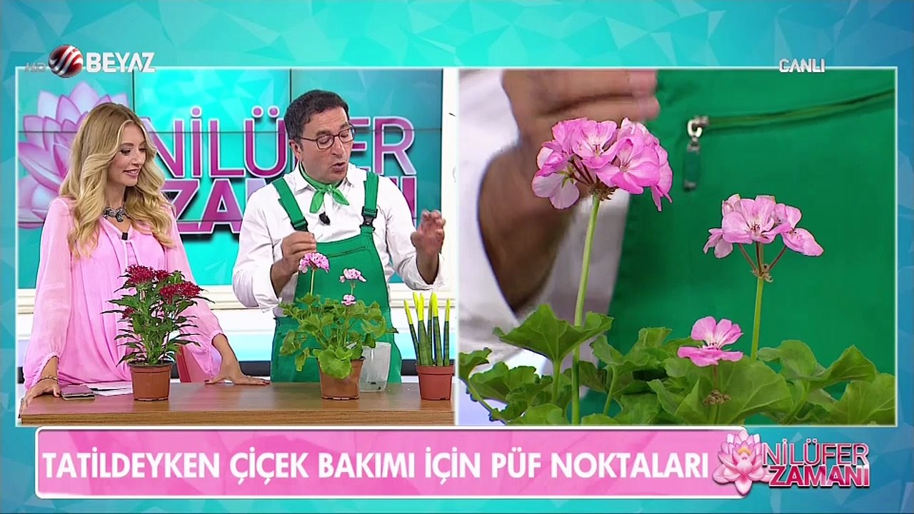 Nilüfer Zamanı 5 Temmuz 2017