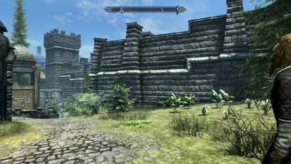 The Elder Scrolls VI Wishlist -VALLENWOOD