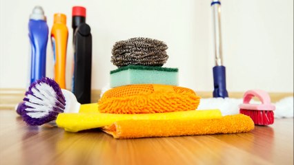 Giagens Cleaning Service, LLC - (313) 209-3277