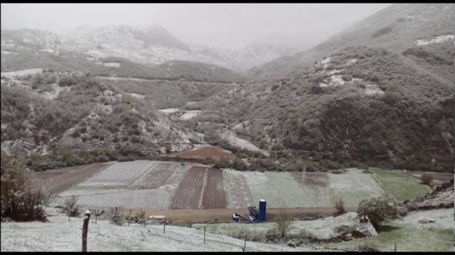 Ora News - Reshje shiu e dëbore deri të premten