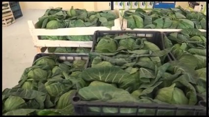 Ora News - Elbasan, Drejtori i Bujqësisë: Kujdes me subvencionet