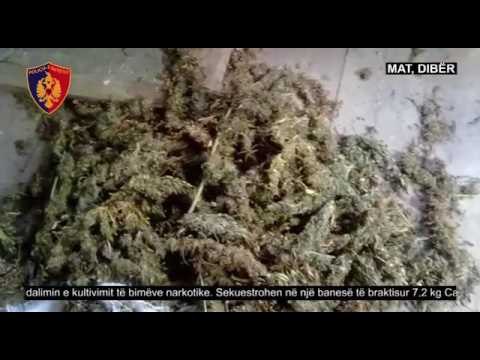 Ora News - Mat, kapet 7.2 kg kanabis në një banesë të braktisur