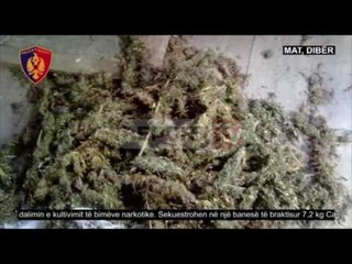 Report TV - Mat, sekuestrohen 7,2 kg kanabis në kullën e braktisur