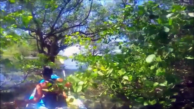 A quick Video Of Gili island , Bali