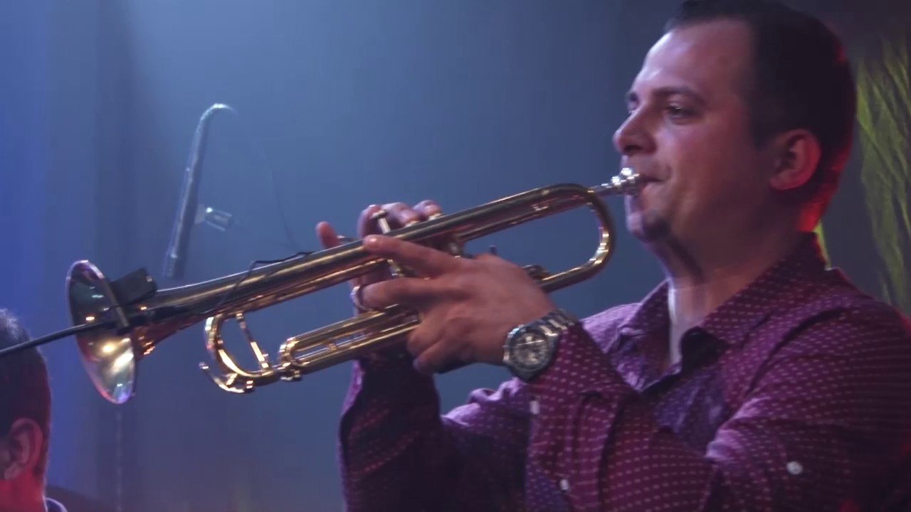 Stani svekre, oro zaigraj - Harizma Band (cover Moja svadba)