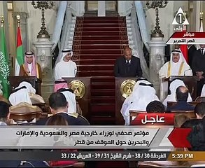 سامح شكرى: موقف الدول الأربع يقوم على الالتزام بالاتفاقيات والمواثيق الدولية