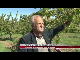 Dëbora zbardh zonat malore, vështirësi në disa rrugë - News, Lajme - Vizion Plus